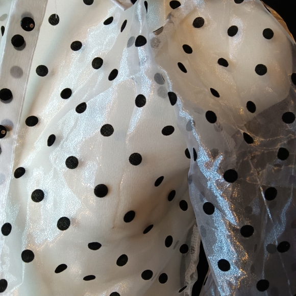 Bubble Sleeve Organza Button Up - Picture 3 of 4